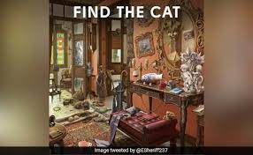 Can't find what you're looking for? There S A Cat Hiding In Plain Sight In This Picture Can You Find It