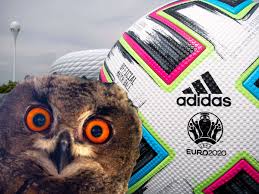 0:1 lukás hrádecky (74./eigentor), 0:2 romelu lukaku (81.) 88. Em 2021 Die Spitznamen Der 24 Teams Drachen Uhus Und Einer Der Standig Falsch Benutzt Wird Fussball