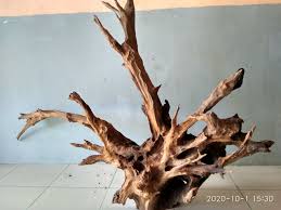Saturday, july 17 2021 breaking news. Akar Kayu Ulin Cocok Untuk 1 Aquascape Asesoris Facebook