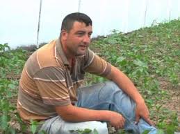 Fermante Edilmis Tavuk Gubresi Youtube