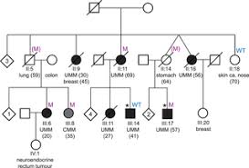 Germline bap1 mutations are associated with a novel cancer syndrome characterized by malignant mesothelioma, uveal melanoma, cutaneous melanoma and mbaits, and possibly by other cancers. A Bap1 Mutation In A Danish Family Predisposes To Uveal Melanoma And Other Cancers