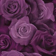 Set seamless patterns trendy design vector. Purple Wallpaper Floral Glitter Striped Plain