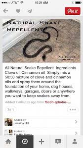 If it creeps, crawls, scurries or flies, doityourselfpestcontrol.com has the solution. Snake Repellent Pesttreatment Pestcontrol Doityourselfpestcontrol Pestcontrolservices Pestrepeller P Kids Gardening Set Gardening For Kids Garden Pest Control
