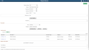 Configuring Attachments In Fluid Framework