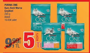 Long Feng Kedi Kumu A101 Bim Sok Migros Fiyati Nedir