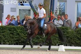 He and the stallion totilas, were triple gold medalists at the 2010 fei world equestrian games, becomi. For The Love Of Horses The Edward Gal Rollkur Compilation Incomplete