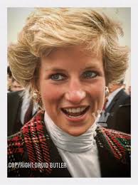 Princess diana article