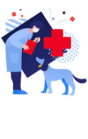 Drag slider to reveal before & after image. Garden Grove Ca 92845 Veterinarian Vet Care Pet Clinic