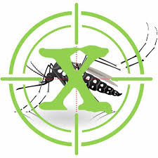 When you're looking for effective pest control near you, remember this: Atlanta Pest Control Exterminator Near Me Nextgen Pest Solutions