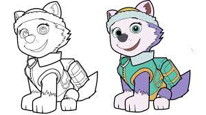 She is very good friends with jake, whom she is. How To Draw Everest Paw Patrol 1 Youtube