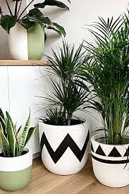 Pow Pots Queenie Unique Plant Pot Vasos Pintados Vasos Coloridos Decoracao