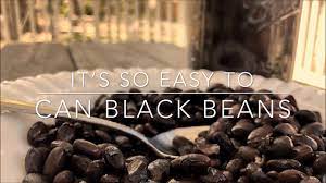 Maybe you would like to learn more about one of these? Canning Black Beans Is So Easy Youtube