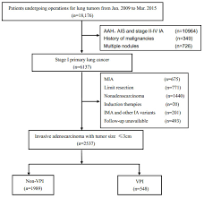 Oncotarget Visceral Pleural Invasion Predict A Poor