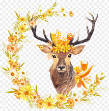 Put those deer antlers you found in the woods to good use. Antlers Watercolor Png Free Free Fall Printables Home Decor Png Image With Transparent Background Toppng