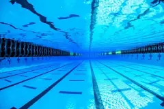 Image result