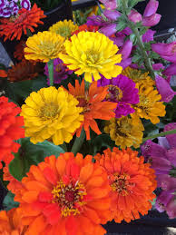 See more ideas about rustic flowers, primitive decorating, primitive decorating country. Rustic Designs Flower Farm Home