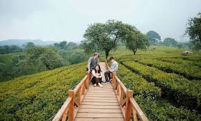 Maybe you would like to learn more about one of these? Kebun Teh Wonosari Lawang Malang Harga Tiket Masuk Jalan Menuju Lokasi Wisata Jejakpiknik Com