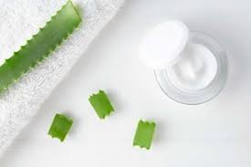 Ora vediamo gli ingredienti necessari e i passi da seguire per preparare in casa una crema all'aloe vera. Crema Rigenerante Con Aloe Vera Facile Da Preparare Vivere Piu Sani