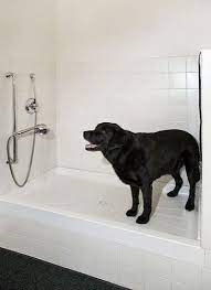 Laundry Room Design Ideas Pictures Remodel And Decor Dog Washing Station Pet Washing Station Laundry Room Storage Shelves