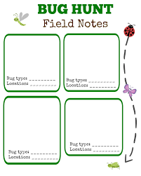Try these indoor activities for toddlers on cold or rainy day. Bug Hunt Outdoor Activities For Kids W Free Printable Outdoor Activities For Kids Insect Activities Bug Activities