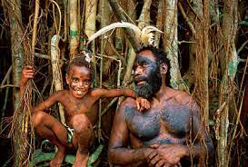 Im jahr 2020 war der natürliche anstieg positiv, da die anzahl der geburten die anzahl der todesfälle überstieg um 6.726 überstieg. Reiseinformationen Und Sehenswurdigkeiten Vanuatu