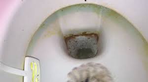 Die lösungsmittel, die in wd40 enthalten sind, sind besonders effektiv gegen kalk und urinstein und helfen dabei, die toilette in wenigen sekunden sauber zu bekommen. Urinstein In Der Toilette Entfernen Mit Gebissreiniger Tabs Zahnreinigungstabs Anleitung Youtube