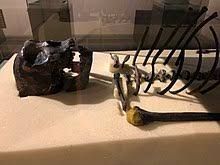 Aug 01, 2021 · the turkana human was a fossil that was found in 1995 by kamoya kimeu, a kenyan who was a part of a crew led by richard leakey, at nariokotome, which is close to lake turkana in northwest kenya. Turkana Boy Wikipedia