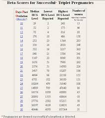 beta hcg chart for twins belly chart cat pregnancy calendar