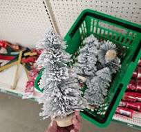 Cute flocked trees were out at my Dollar Tree. I stocked up!