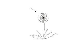 Simple Black And White Art Prints Simple Dandelion Drawing Black And White Art Print Limited Edition My First Wish Dandelion Drawing Pencil Drawings Of Flowers Drawings