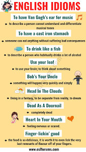 Top 20 Funny Idioms In English You Might Not Know Esl Forums English Idioms English Vocabulary Words Conversational English