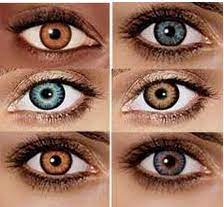 Maybe you would like to learn more about one of these? Free 1 Month Trial Pair Of Contact Lenses Colored Or Normal Lenses Contact Lenses Colored Cheap Colored Contacts Colored Contacts