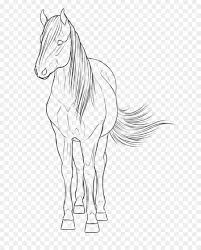 Draw a medium sized shape for the head, and then draw in a neck line for the body. Horse Cartoon Png Download 721 1109 Free Transparent Mane Png Download Cleanpng Kisspng
