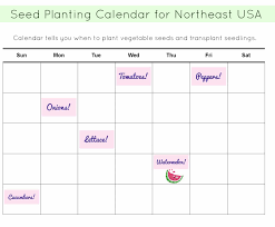 seed calendar for new york city and northeast united states