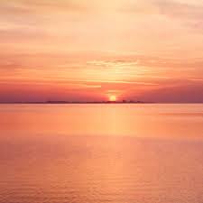 Directed by rob corn, michael pressman. Mr Grey Episod 20 Mflix