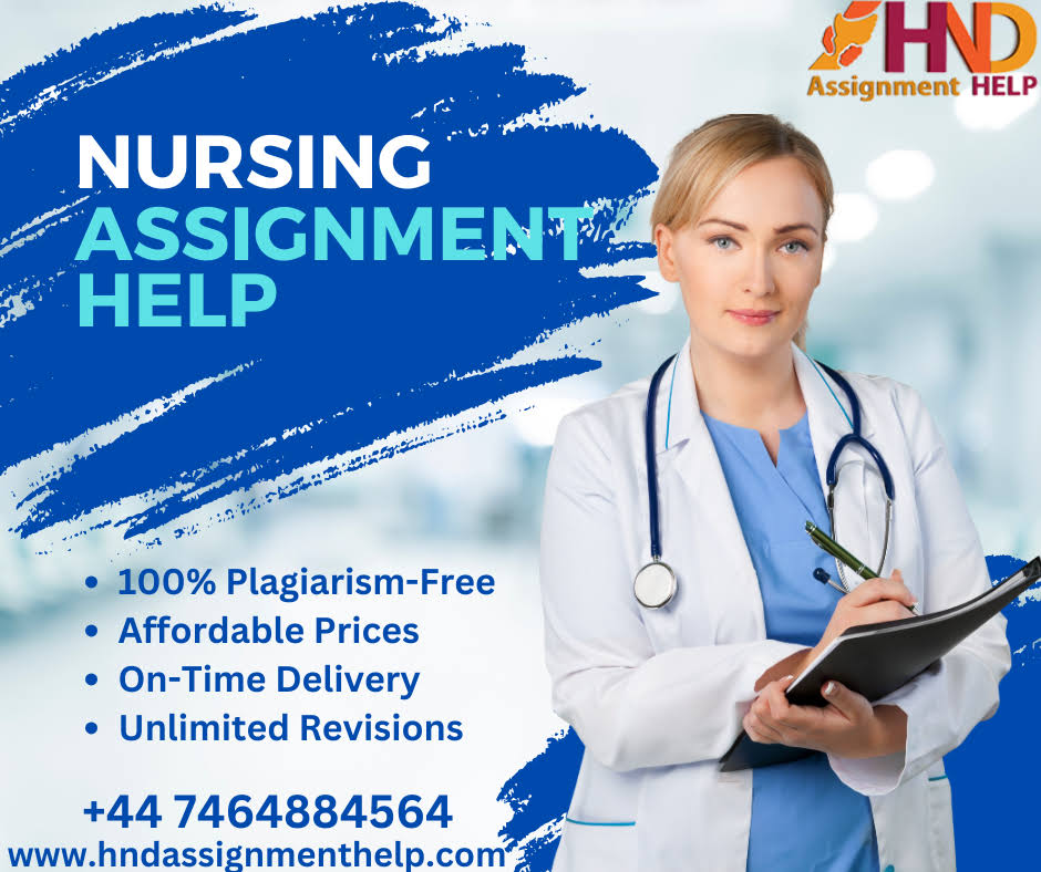 Nursing Assignment Help product image