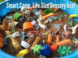 Sensory bins are plastic tubs or large containers filled with materials, objects and toys that are carefully selected to stimulate the senses. Pin By Jennifer Deville On Preschool Preschool Activities Kids Sensory Zoo Activities