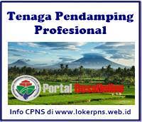 Check spelling or type a new query. Pendaftaran Online Tenaga Pendamping Profesional 2021 2022 Sscnbkn Id