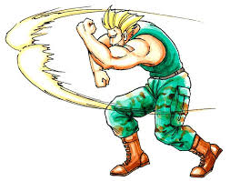 Street fighter v has reached 40 characters with the champion edition, so even if you are struggling to get into this unique fighting game, you're bound to discover a few favorites from this massive roster. Sonic Boom Street Fighter Wiki Fandom