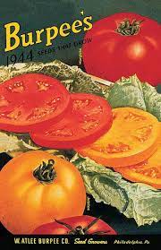 Burpee 1921 Front Cover Vintage Seed Packets Flower Seeds Packets Vintage Flower Prints