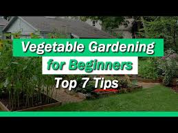 Do you have kids who might need the space for play? Vegetable Gardening For Beginners 7 Tips You Must Know Youtube