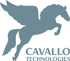 Cavallo Technologies | Expert code. Exceptional results.