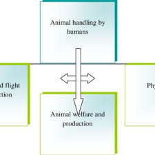 Pt gobras tsik mlaya / pt g. Pdf A Farm To Fork Approach To Meat Science