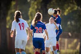 What is known about sports concussion risk and recovery? What Statistics Say About Gender Sports Concussions
