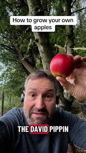 Will Wheat make any money next year?