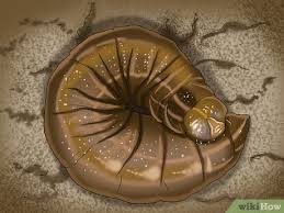 Although gardeners often accept caterpillars damaging their plants as an unavoidable nuisance that comes with the territory, in reality there's lots you can do to put a stop to these tiny yet ravenous garden pests. How To Keep Caterpillars Out Of The Garden 9 Steps