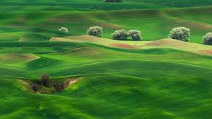 wallpaper grassland landscape greenery scenery huawei mate 10 stock hd nature 10532 wallpaper for iphone android mobile and desktop wallpaper grassland landscape