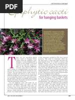 Image result for Riocreuxia torulosa