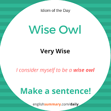 As Wise As Owl Meaning And Use Idiomoftheday English Words Learn English Vocabulary Learn English Words