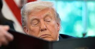 Weniger Einschreibungen: Will niemand mehr Mathematik studieren?